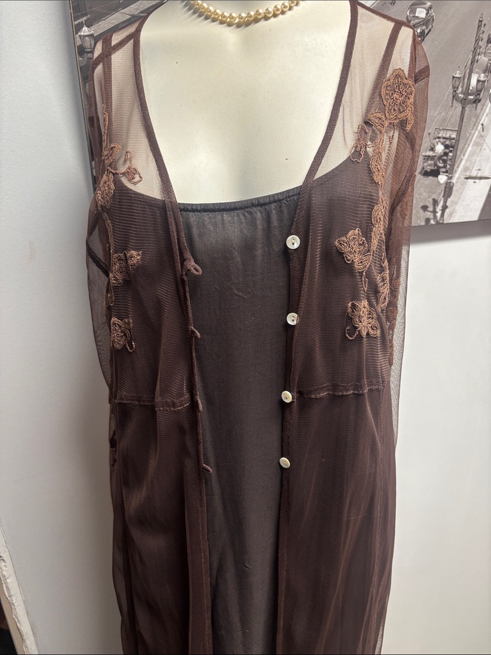 April Cornell Brown Sheer Embroidered Long Robe with Slip - Picture 2 of 7